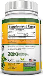 Berberina 1200 mg - 90 Cápsulas Vegetales - Suplemento Puro de Berberina HCL - NutriONN