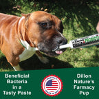 Dogzymes Pasta Probiótica Canina con Saccharomyces boulardii (15 g)