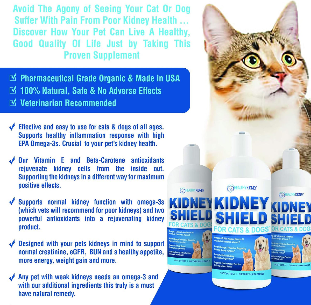 Kidney Restore Apoyo Renal para Perros y – Apoyar la salud del tracto urinario. – Image 2