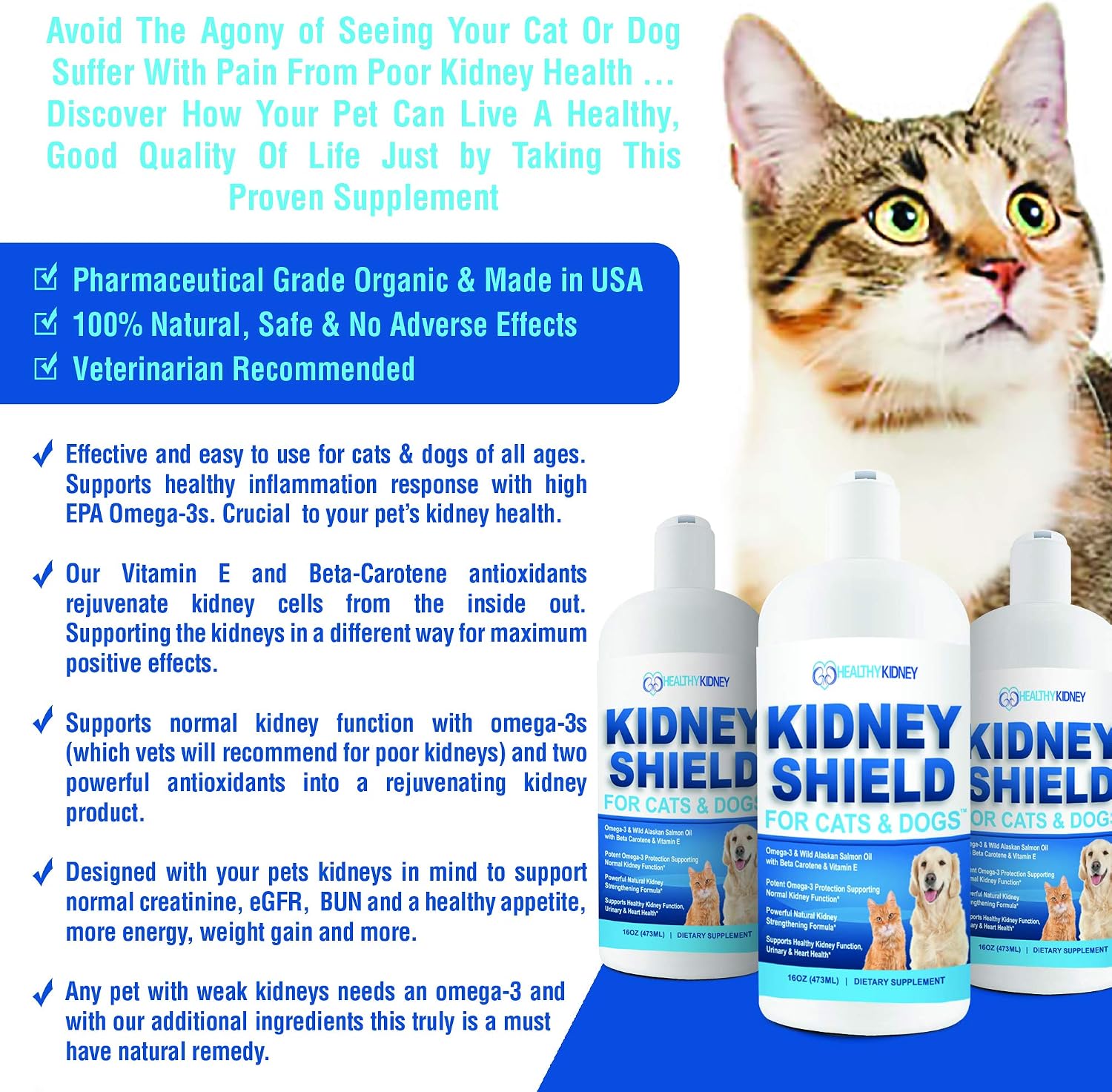 Kidney Restore Apoyo Renal para Perros y Gatos