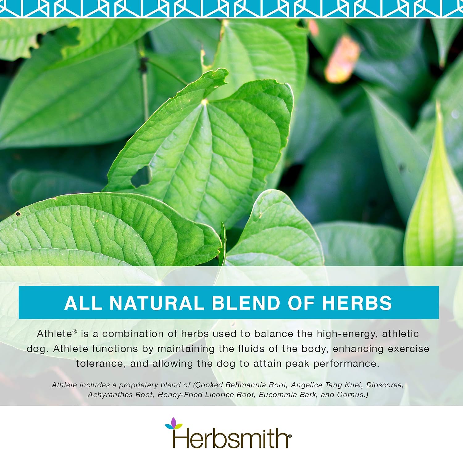 Herbsmith Athlete – Suplemento de resistencia para perros – 150g en polvo