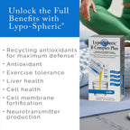 LivOn Laboratories Lypo-Spheric B Complex Plus – 30 sobres – Complejo B Liposomal con Minerales y Canela