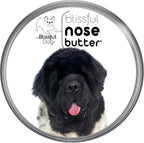 The Blissful Dog Landseer Newfoundland Nose Butter - Bálsamo Nasal Natural para Perros, Sin Fragancia, 2 oz