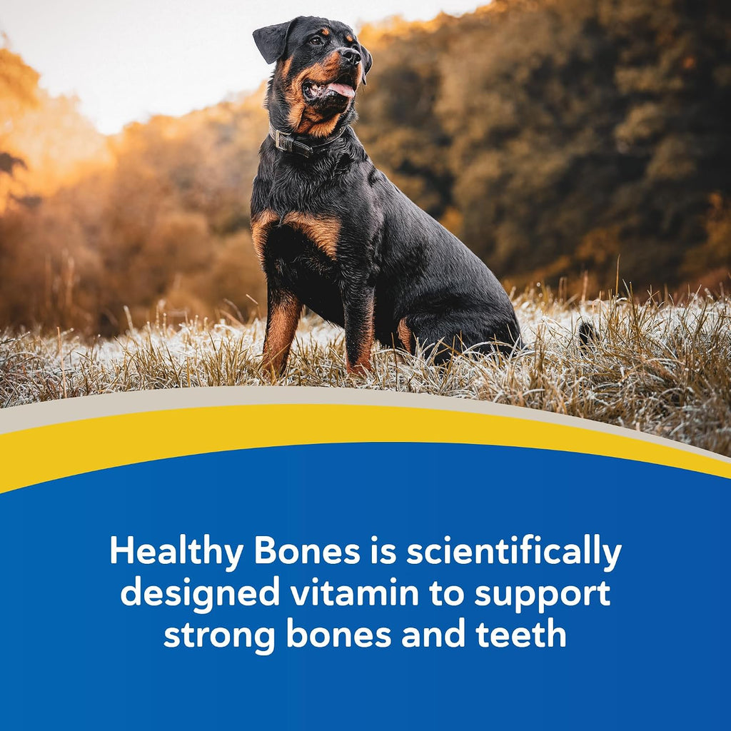 Doc Roy’s Healthy Bones Suplemento de Calcio y Fósforo para Cachorros, Perros, Gatos y Hembras Lactantes – 100 Comprimidos Masticables Sabor Roast Beef e Hígado