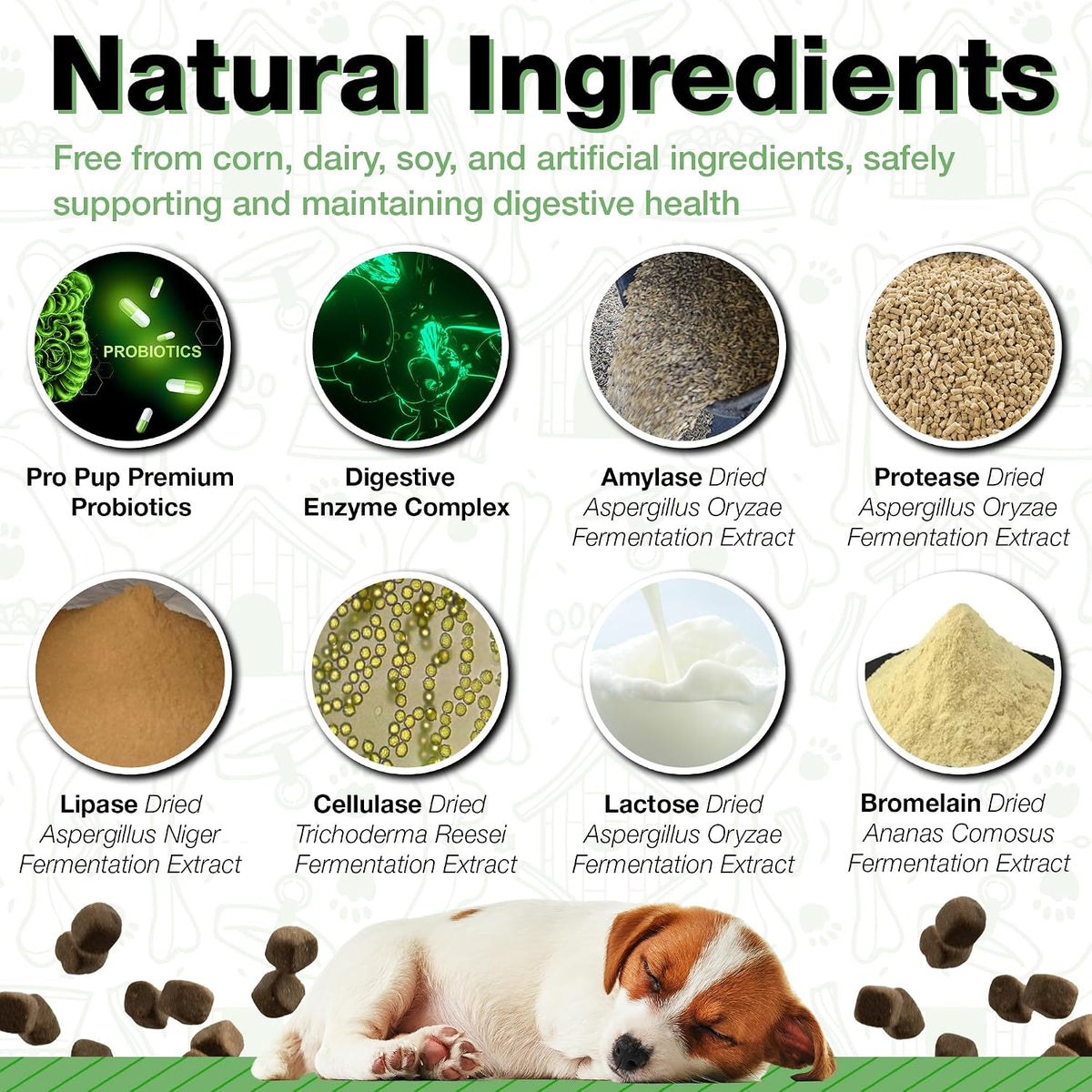Probióticos para Perros Pawlife - 240 – Defensas naturales: Una flora intestinal equilibrada está relacionada con – Image 4