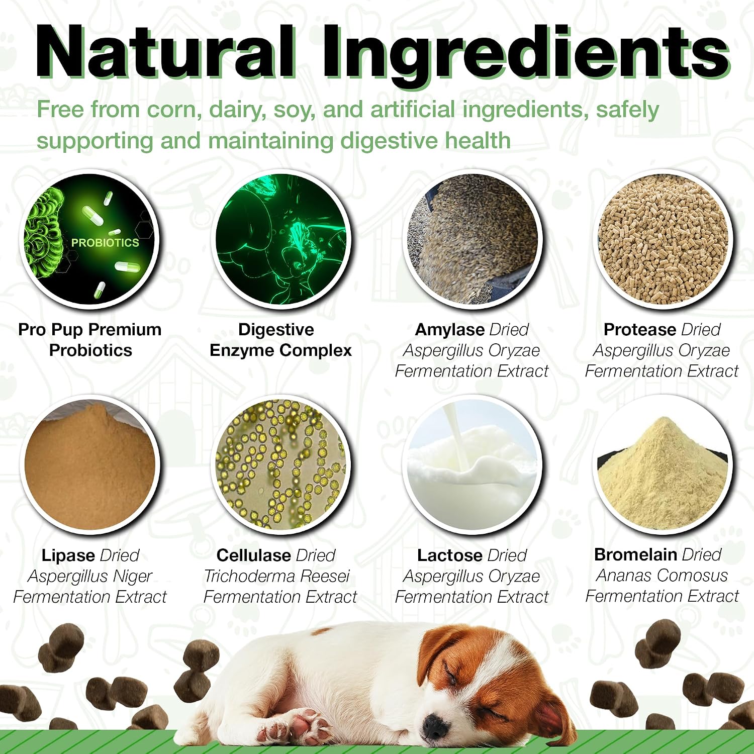 Probióticos para Perros Pawlife - 240 Masticables Sabor Calabaza
