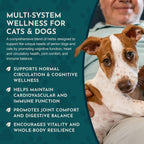 Animal Essentials Senior Support – Suplemento Herbal para Perros y Gatos Mayores – Cardo Mariano – 60 ml