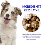 Wonder Paws Immune Support – Polvo de Setas Orgánicas para Perros, 90 Dosis