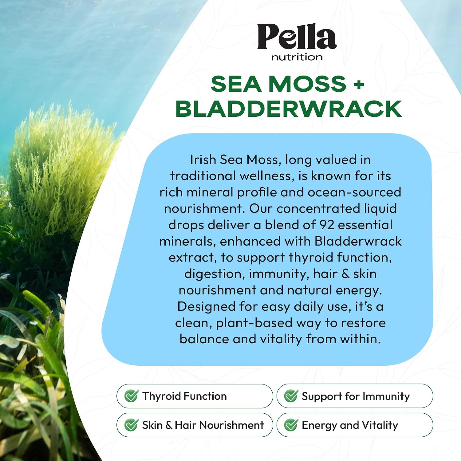 Pella Nutrition Sea Moss Drops con Bladderwrack – Gotas de Musgo Marino Irlandés de Absorción Rápida (Sabor Fresa y Lima, 60 ml)