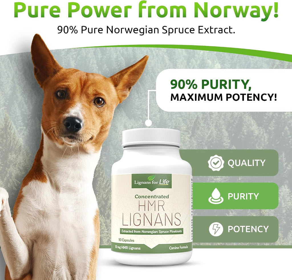 HMR Lignans 10 mg Cápsulas - Multivitamínico para Perros