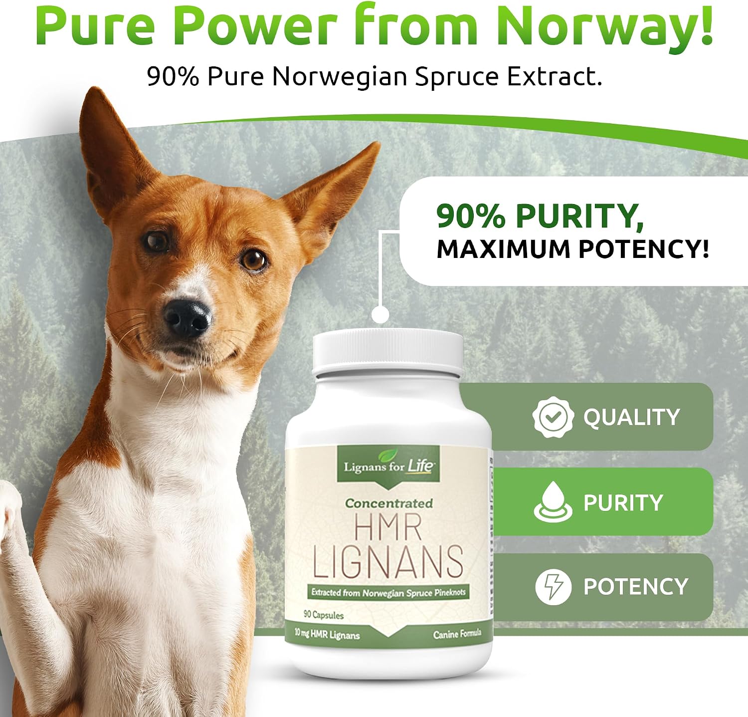 HMR Lignans 10 mg Cápsulas - Multivitamínico para Perros