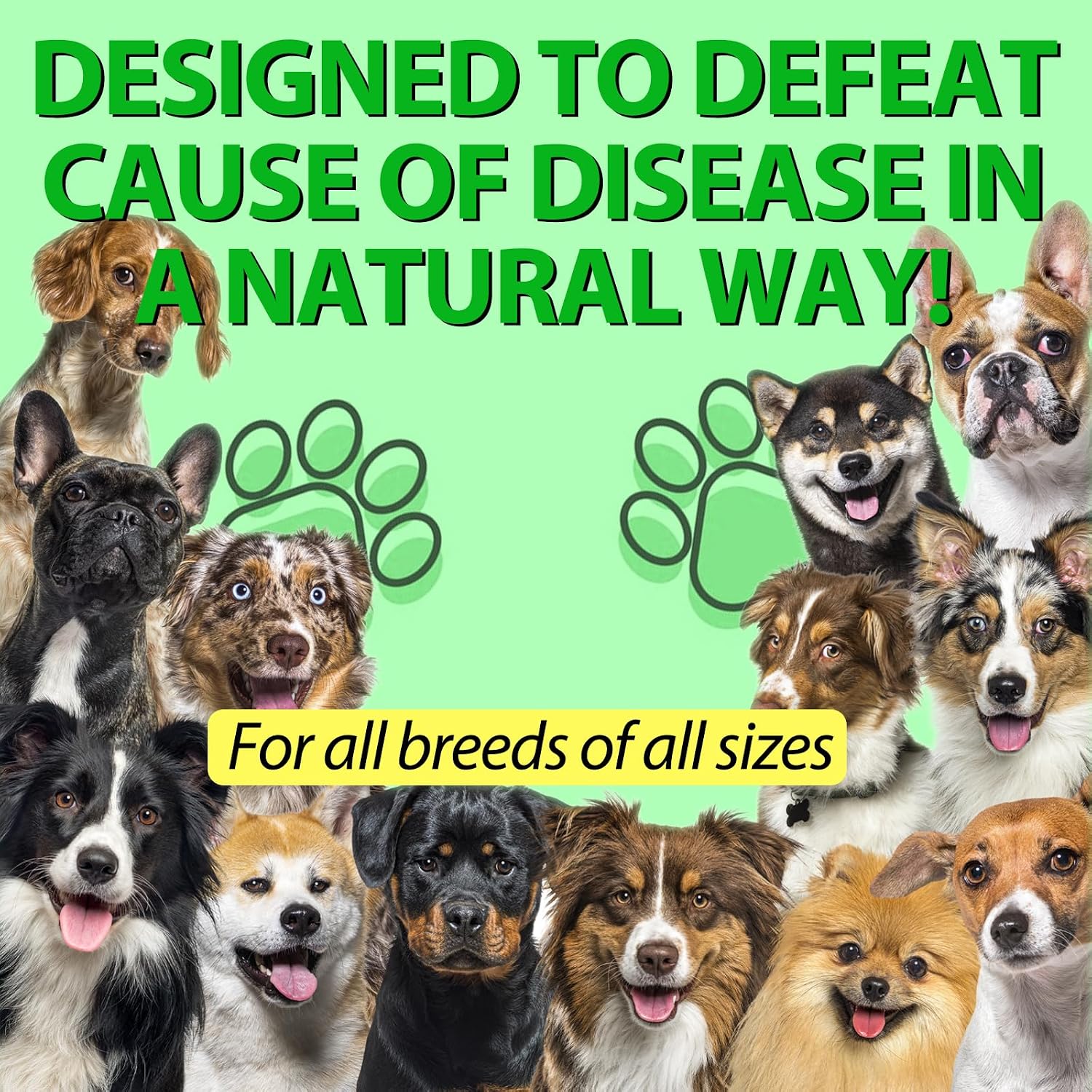 Antibióticos Naturales para Perros – Alivio de Alergias y Picazón, Suplemento Multivitamínico, Sabor a Bacon – 60ml