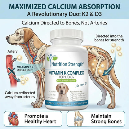 Complemento de vitamina K para perros - K1 y – Vitamina K2 como menaquinona-4 (MK4): Actúa rápidamente en el – Image 2