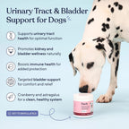 Pawfy Complemento Urinario para Perros | Arándano y D-Mannosa | Salud de la Vejiga y Tracto Urinario | 30 Masticables
