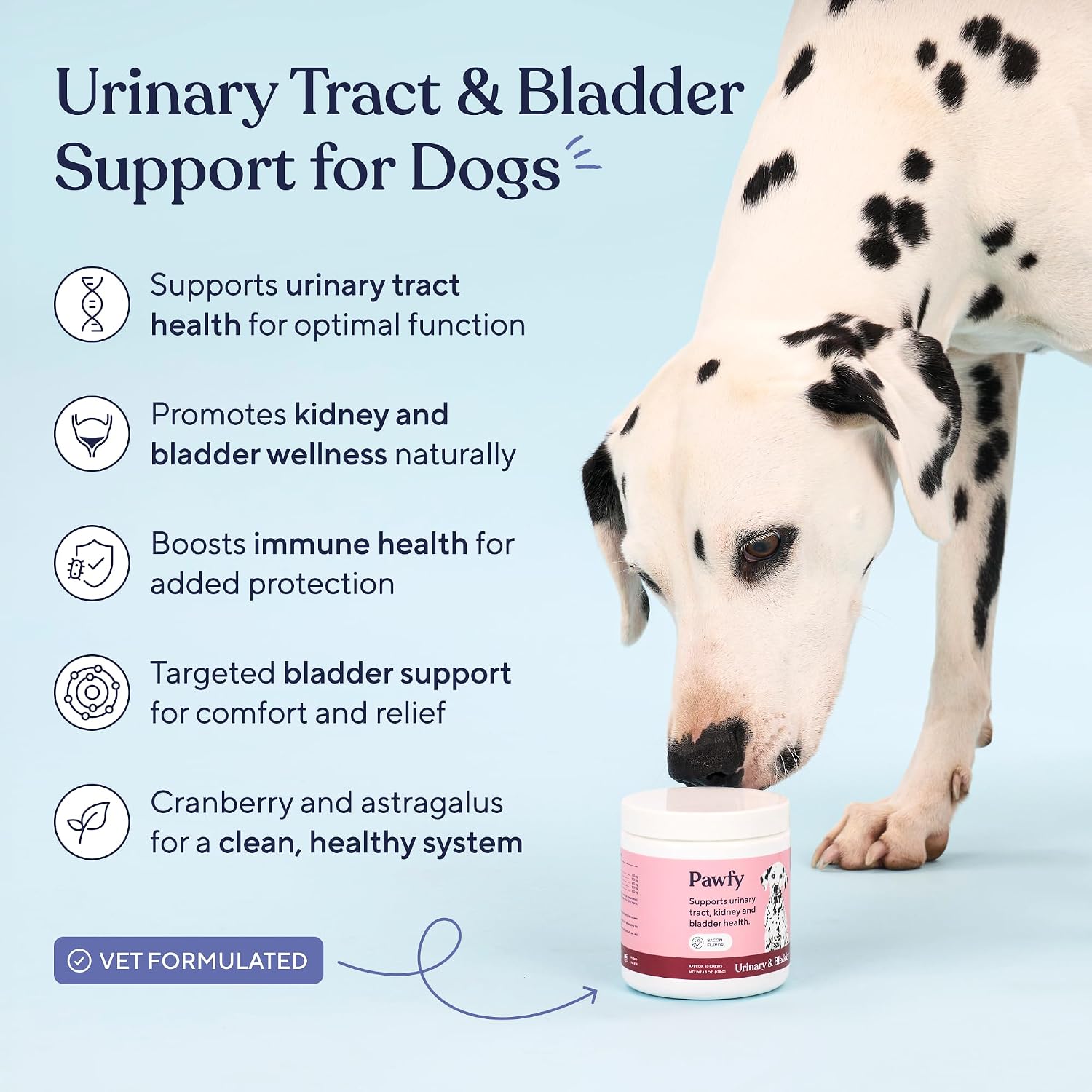 Pawfy Complemento Urinario para Perros | Arándano y D-Mannosa | Salud de la Vejiga y Tracto Urinario | 30 Masticables