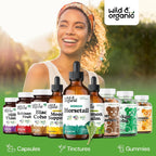 Wild & Organic Tintura de Cola de Caballo - Apoyo para Cabello, Piel y Uñas - Suplemento Líquido Vegano sin Alcohol - 118 ml