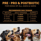 Probióticos para Perros - Combinación Pre, Pro y Postbióticos - Masticables Blandos para Salud Digestiva e Inmunidad - 100 uds