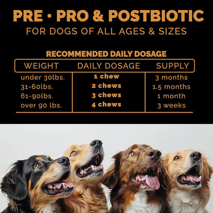 Probióticos para Perros - Combinación Pre, Pro y Postbióticos - Masticables Blandos para Salud Digestiva e Inmunidad - 100 – Image 3