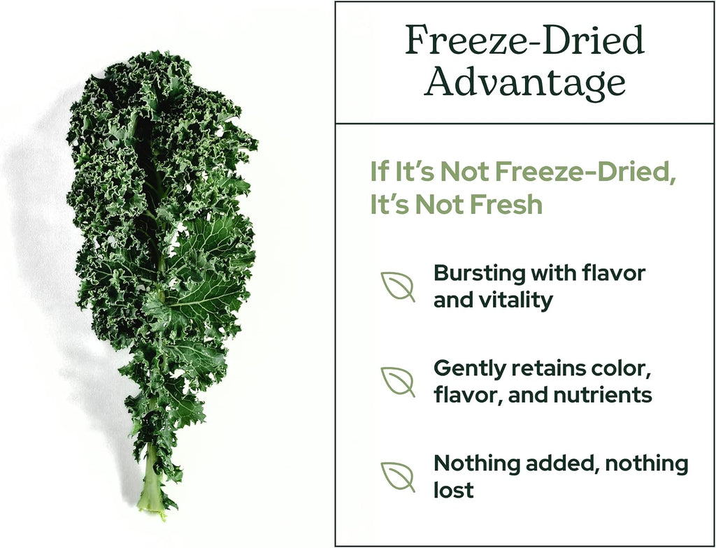 Eclectic Herb - Kale en polvo ecológico, superalimento verde con vitaminas y minerales, 90 g