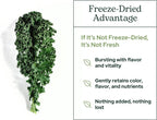 Eclectic Herb - Kale en polvo ecológico, superalimento verde con vitaminas y minerales, 90 g