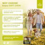 Kinpur Probióticos para Perros – 4 Mil Millones UFC, 6 Cepas + Colostro y Enzimas Digestivas – Sabor a Pato – 120 Masticables