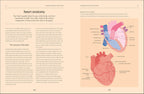 Heart: Una guía del corazón: El bestseller número 1 de The Irish Times (Biblioteca de alfabetización corporal)
