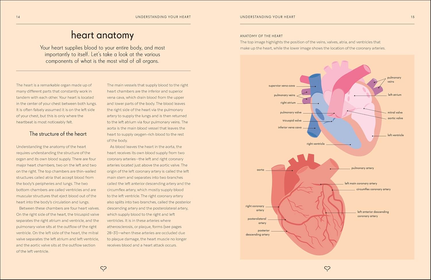 Heart: Una guía del corazón: El bestseller número 1 de The Irish Times (Biblioteca de alfabetización corporal)