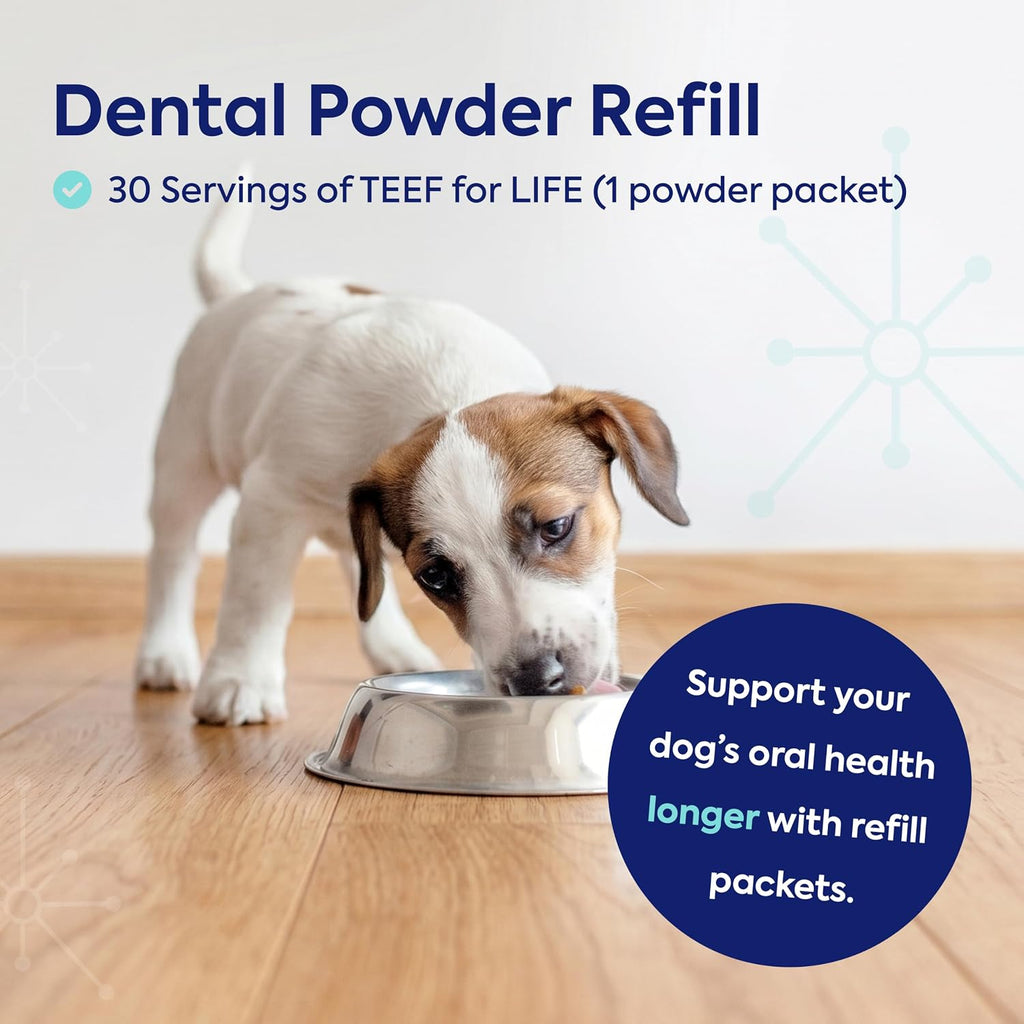 TEEF FOR LIFE Protektin42 Prebiótico Dental para Perros - Recarga de 30 Porciones