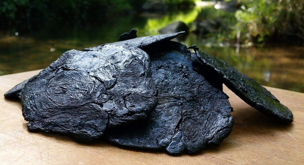 Shu Di Huang (Rehmannia Preparada) - 454 g - Grado Premium