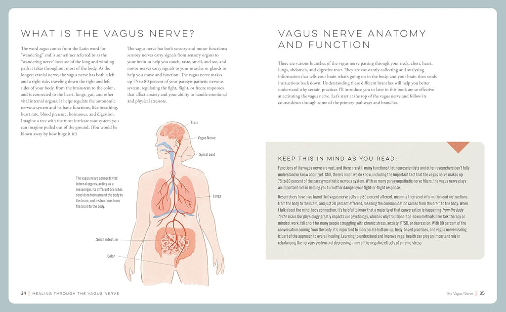 Vagus Nerve Healing: Mejora tu respuesta a la ansiedad, la depresión, el estrés y el trauma a través de la regulación del sistema nervioso