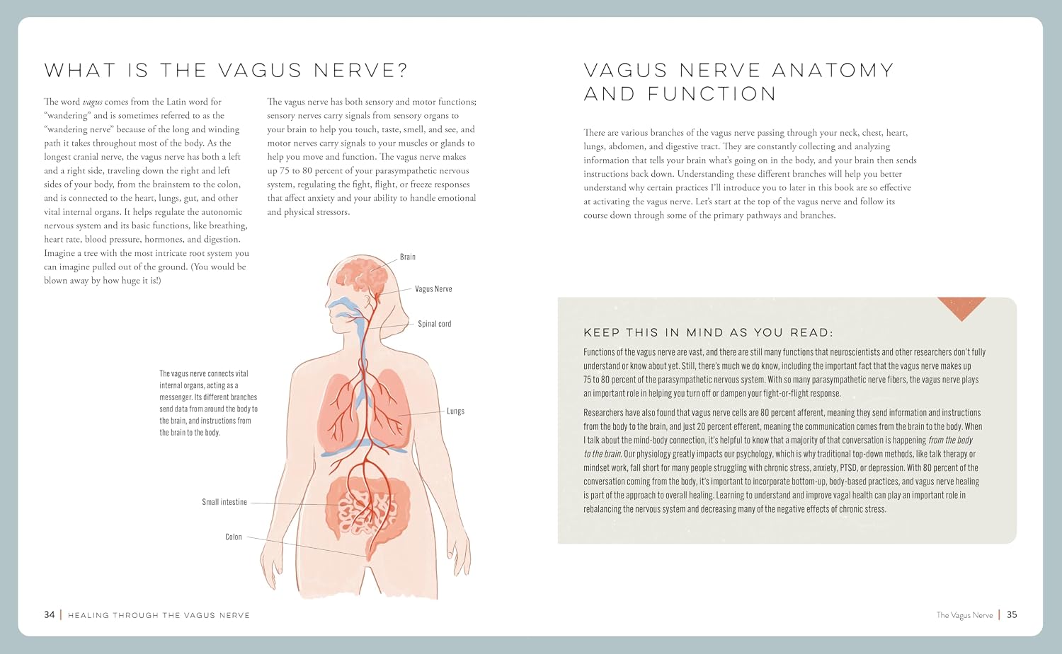 Vagus Nerve Healing: Mejora tu respuesta a la ansiedad, la depresión, el estrés y el trauma a través de la regulación del sistema nervioso
