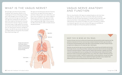 Sanación a través del nervio vago: Mejora tu – Experimentan ansiedad, estrés crónico o ataques de pánico. – Image 5