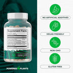 Cistanche Tubulosa con Fadogia Agrestis - Promueve la Vitalidad - Suplementos Naturales para Hombres y Mujeres con Bioperina de Powered X Plants, 90 Porciones