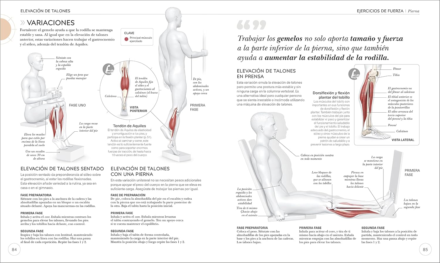 Entrenamiento de fuerza (Science of Strength Training): Mejora tu técnica, evita lesiones, perfecciona tu entrenamiento (Spanish Edition)