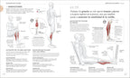 Entrenamiento de fuerza (Science of Strength Training): Mejora tu técnica, evita lesiones, perfecciona tu entrenamiento