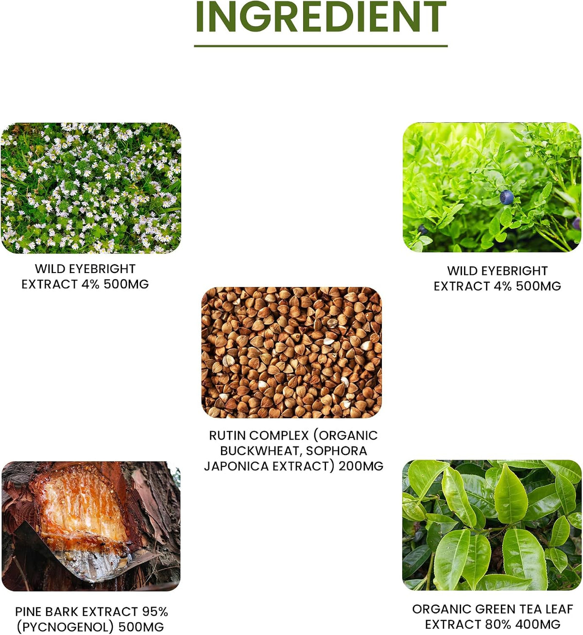 Green Organic Supplements DIM, – Extracto de brócoli: Fuente concentrada de fitonutrientes. – Image 3