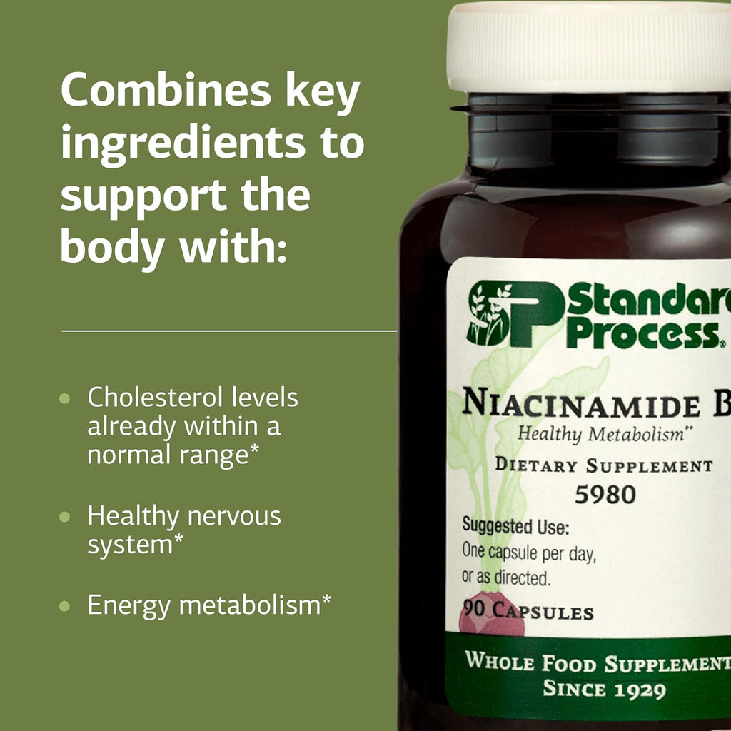 Standard Process Niacinamida B6 – 90 Cápsulas