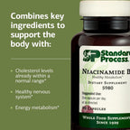 Standard Process Niacinamida B6 – 90 Cápsulas