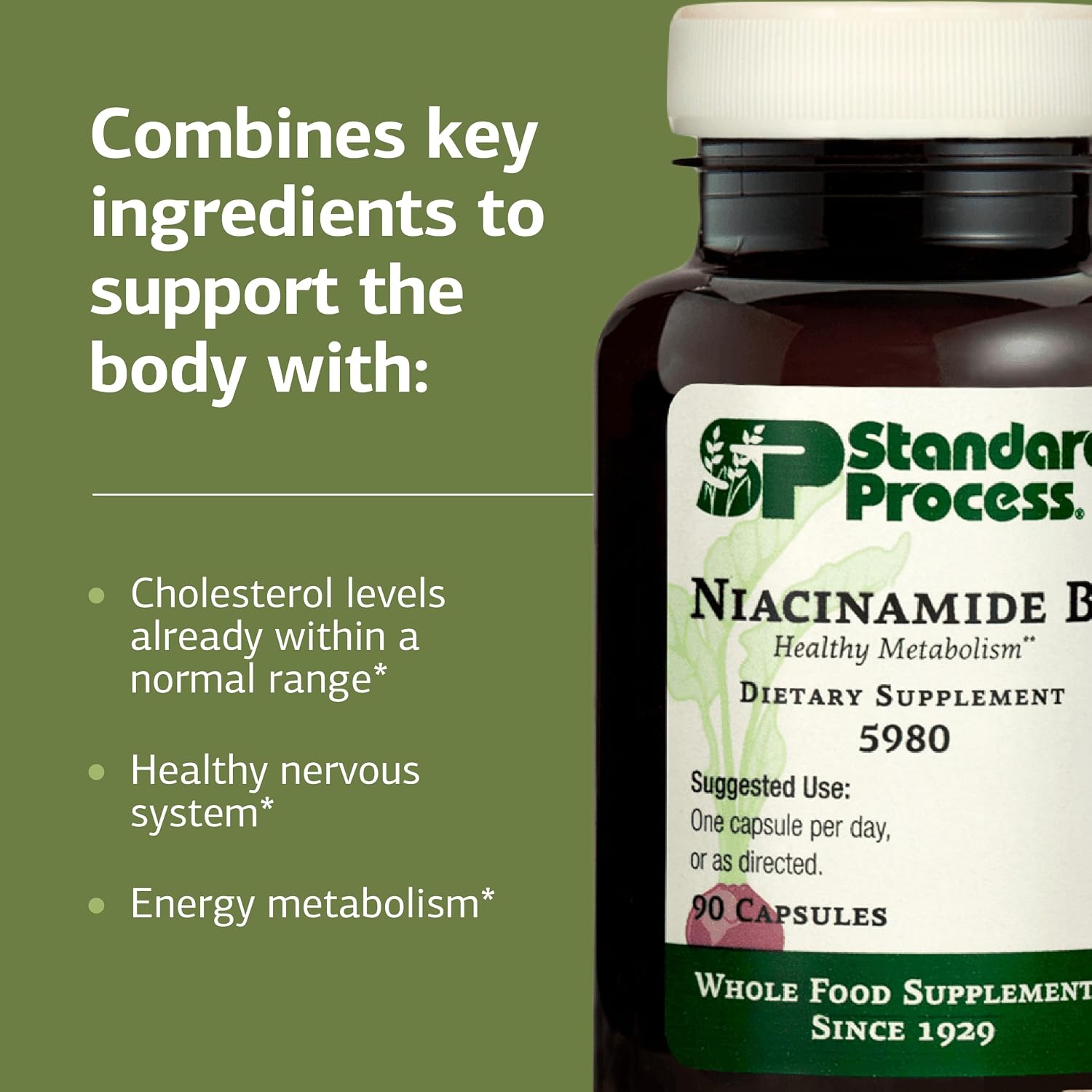 Standard Process Niacinamida B6 – 90 Cápsulas