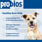 Probios Intelliflora Probióticos para Perros, Polvo Diario con Prebióticos, 200 Millones UFC/g, Sabor a Hígado de Pollo, 30 Sobres