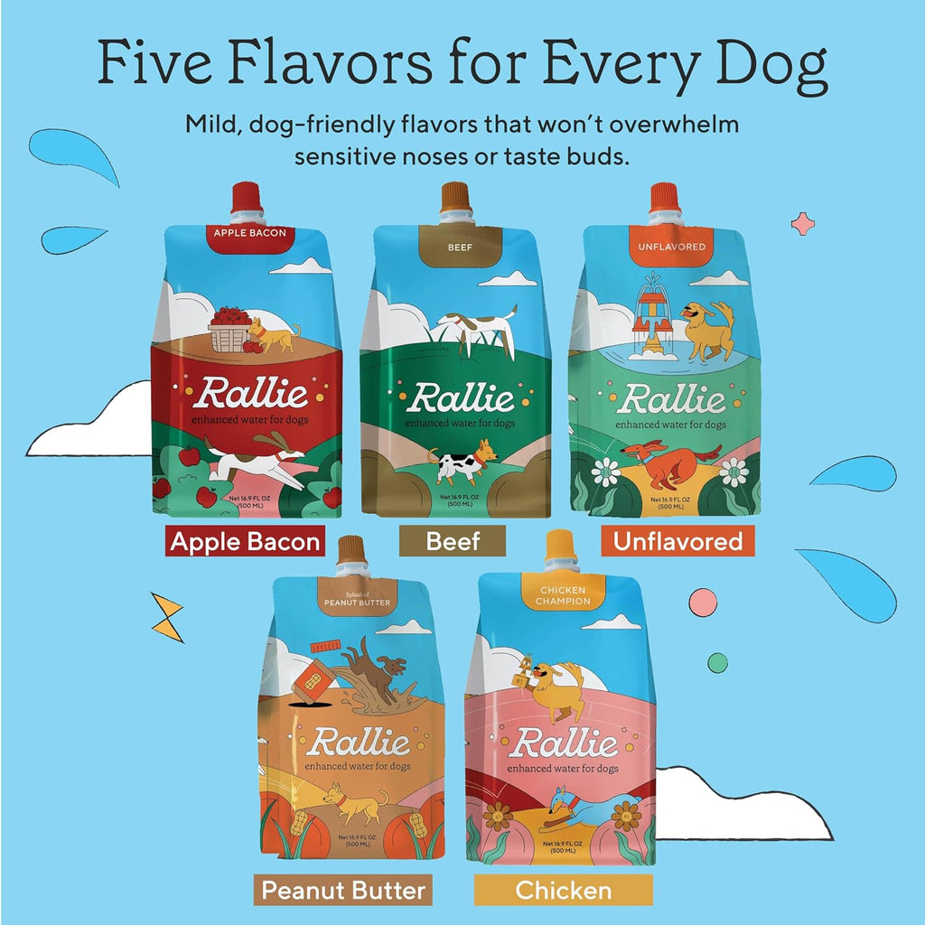 Rallie Agua Hidrogenada Sabor Carne para Perros con Electrolitos, Glucosamina y Vitaminas B - Paquete de 6 Botellas de 500ml