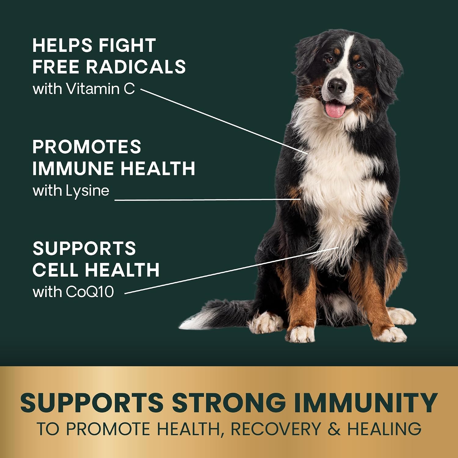 VetriScience Immunity Health - Complemento Antioxidante para Perros Medianos y Grandes, 120 Cápsulas