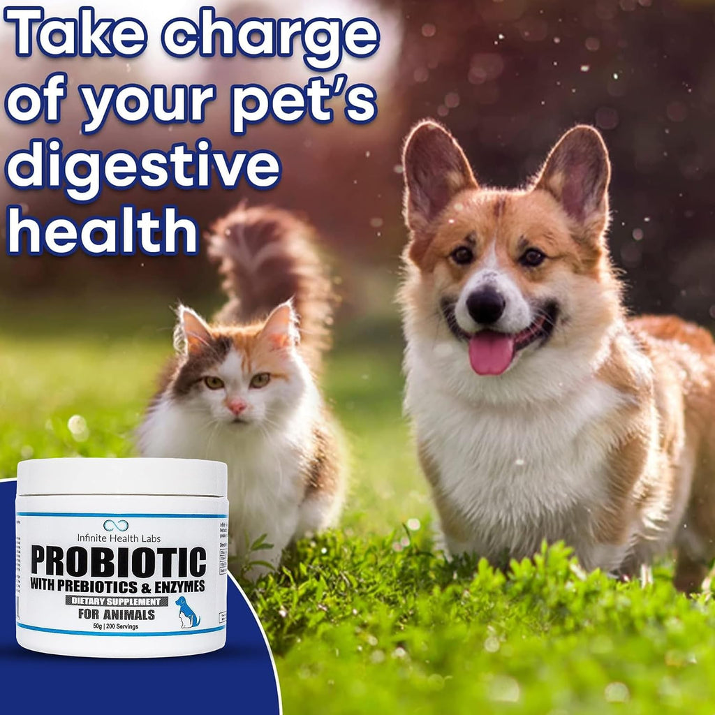 Probióticos para perros y gatos - Fórmula veterinaria, polvo con prebióticos y enzimas para salud digestiva e inmunidad - 200 raciones (50 g)