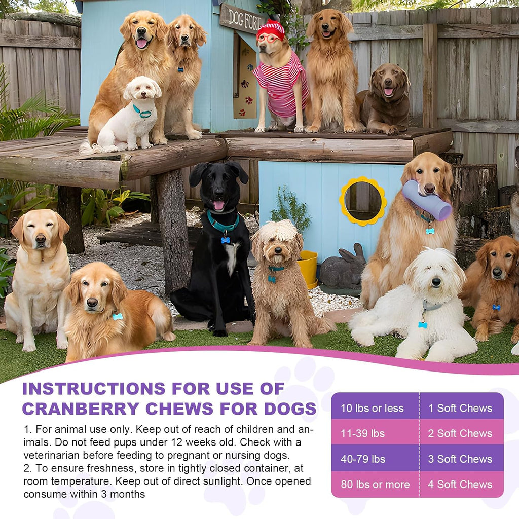Suplemento de Arándano para Perros - 200 Chicles para la Salud Urinaria y Control de Vejiga - Sabor Pollo