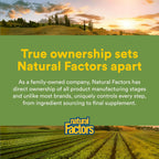 Whole Earth & Sea de Natural Factors, Verduras Fermentadas Orgánicas, Complemento Alimenticio Vegano, Sin Sabor, 391 g