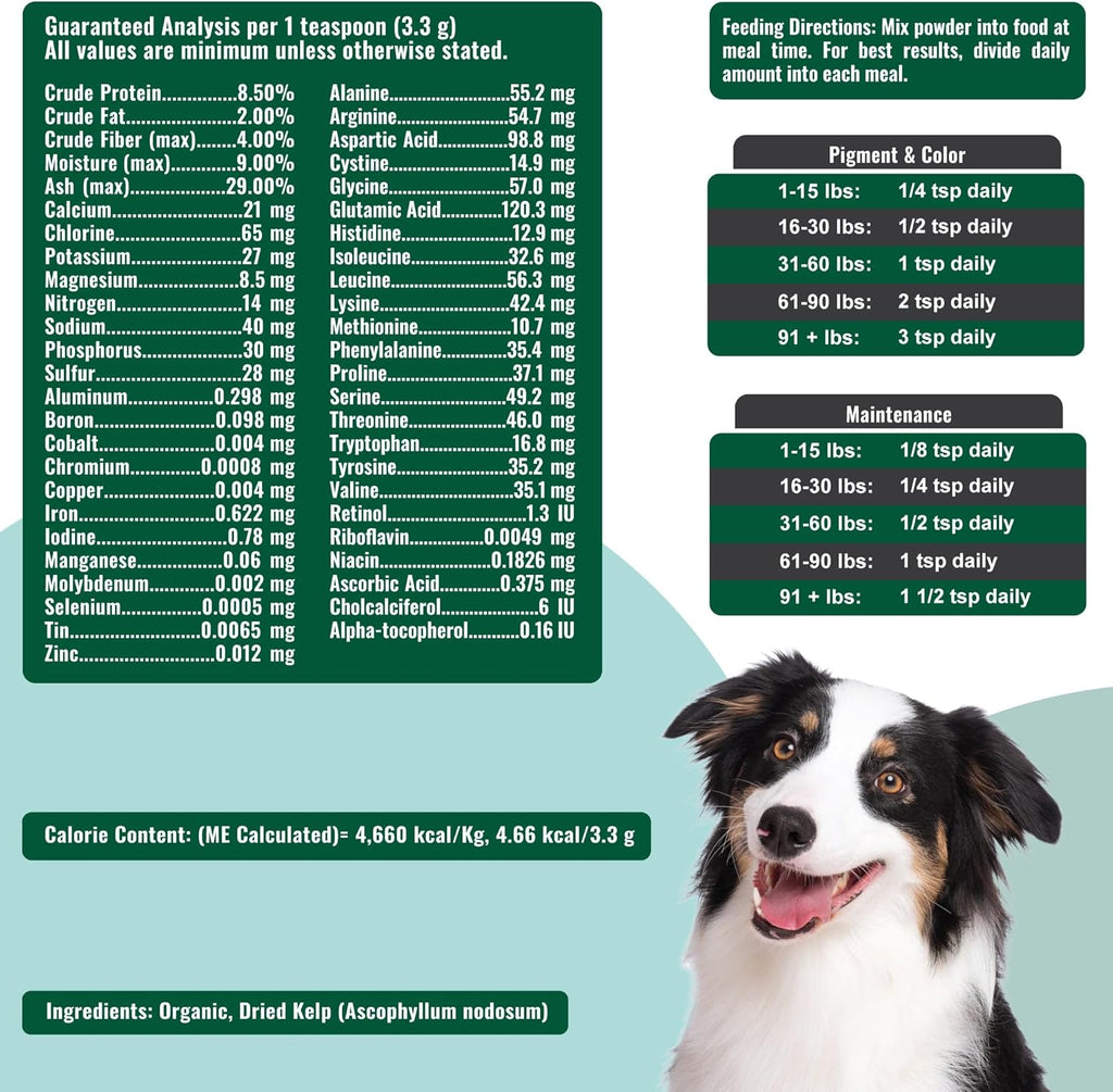 Dogzymes Alga Noruega Orgánica para Perros - 340 g