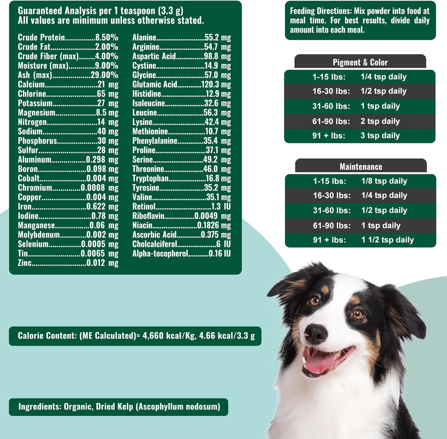 Dogzymes Alga marina noruega ecológica para mascotas (2,72 kg)