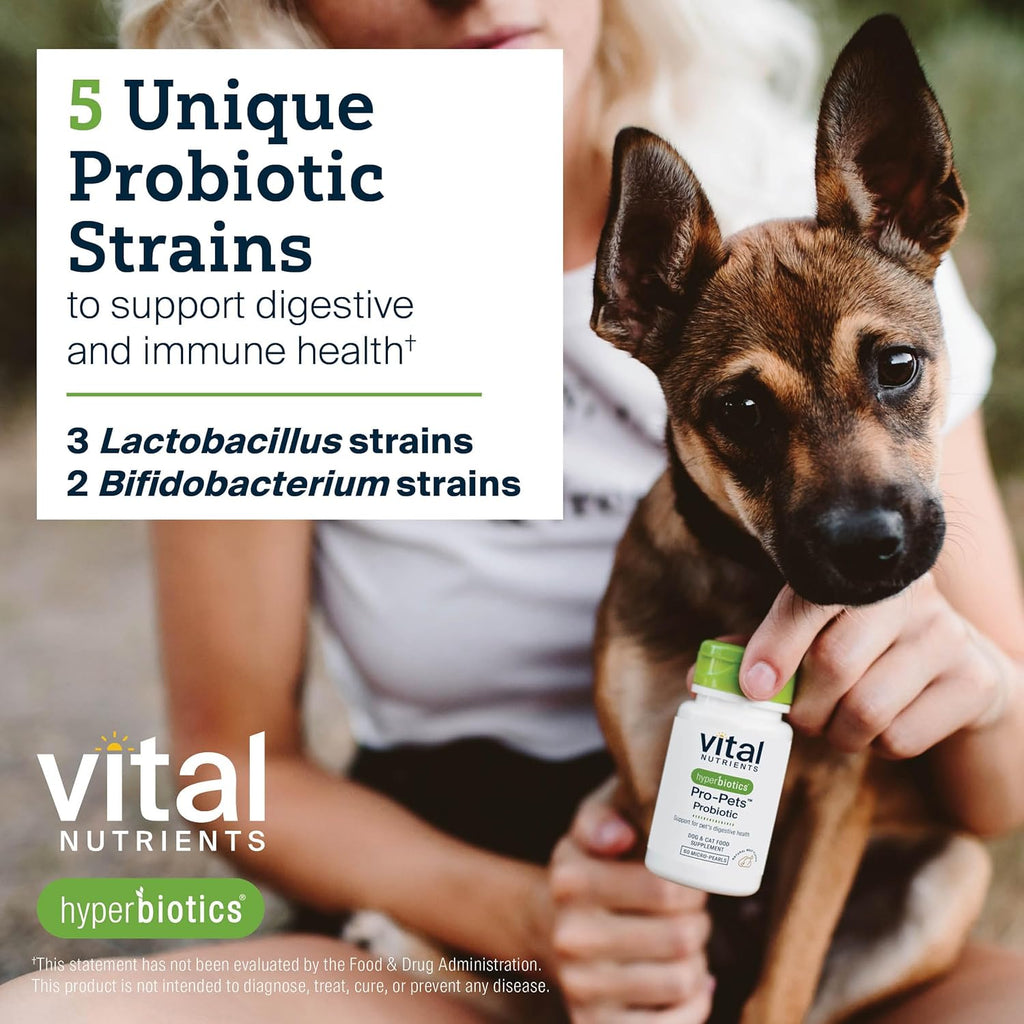 Hyperbiotics Pro Pets Probiotics for Dogs & Cats | Digestive & Immune Health | Meat Flavored | 60 Microtablets