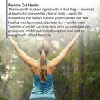 BioTrust Gut Reg - Apoyo para la Salud Intestinal, 60 Cápsulas