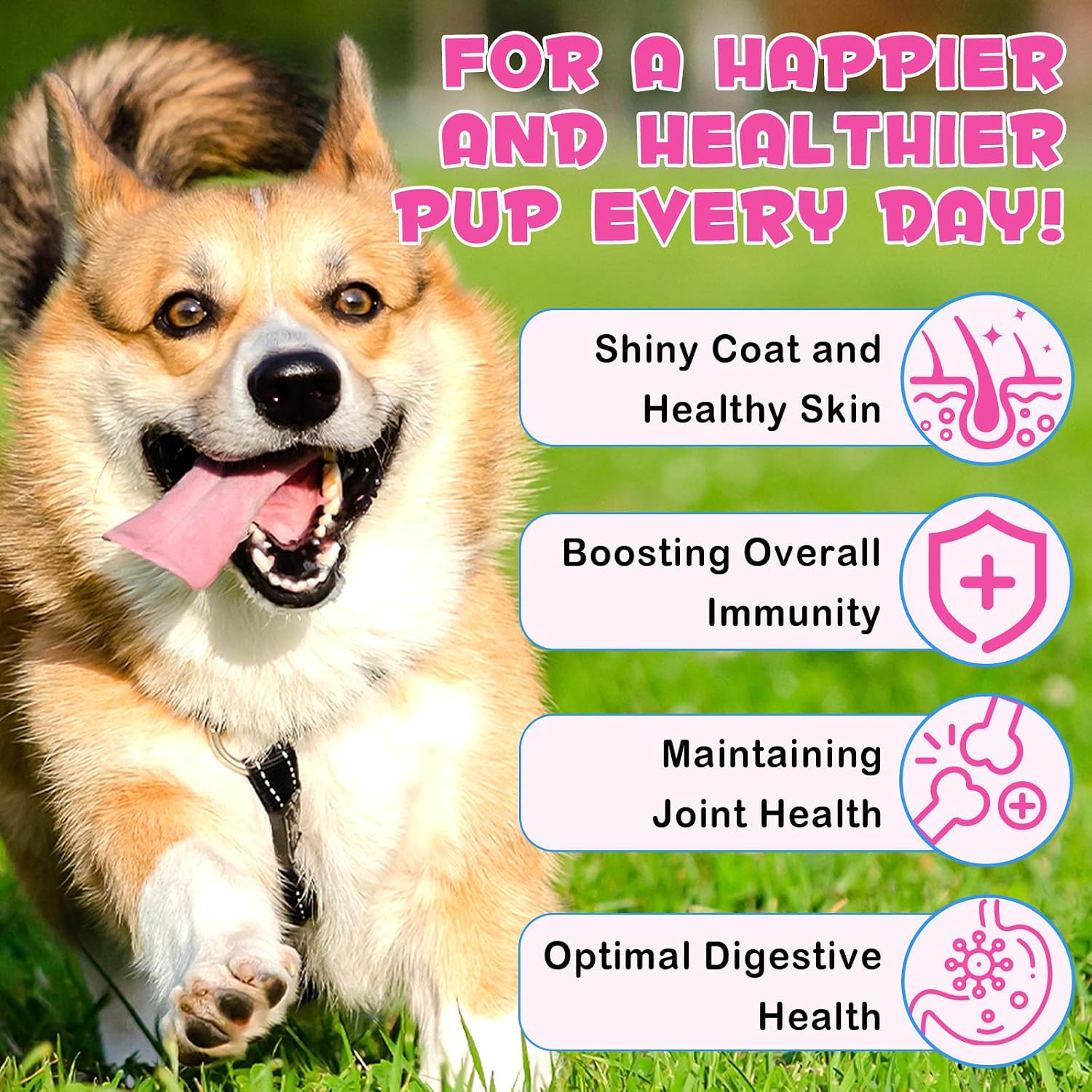 Colágeno Líquido para Perros con Biotina, MSM y Jengibre | Suplemento para Articulaciones, Piel y Digestión 60ml